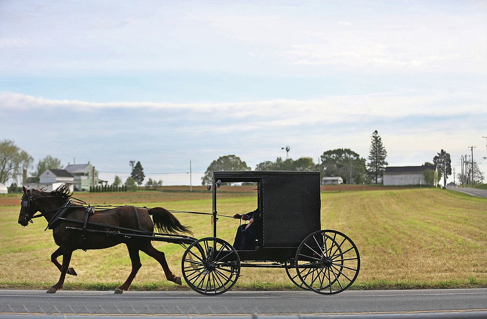 Bishop Marvin and his wife, Stella, of the Old Order Stauffer Mennonite Church, steer their horse-drawn buggy toward church for their first in-person service since the state's COVID-19 lockdown order, Sunday, May 17, 2020, in New Holland, Pa. (AP Photo/Jessie Wardarski)