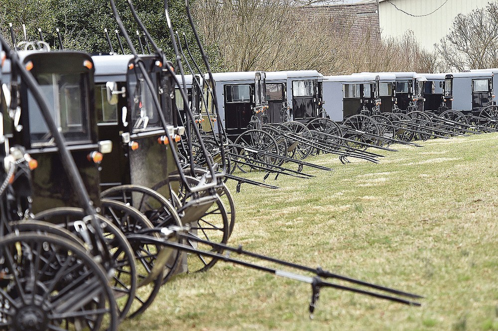 Amish buggies are parked at a home along the New Holland Road south of New Holland for a wedding celebration on March 17, 2020. The administrator of a medical center in the heart of the Amish community in New Holland Borough estimates as many as 90% of Plain families have since had at least one family member infected with COVID-19, and that this religious enclave achieved what no other community in the United States has: herd immunity. (Suzette Wenger/LNP/LancasterOnline via AP)