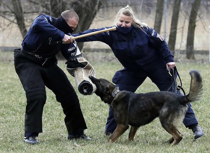 what age do police dogs retire