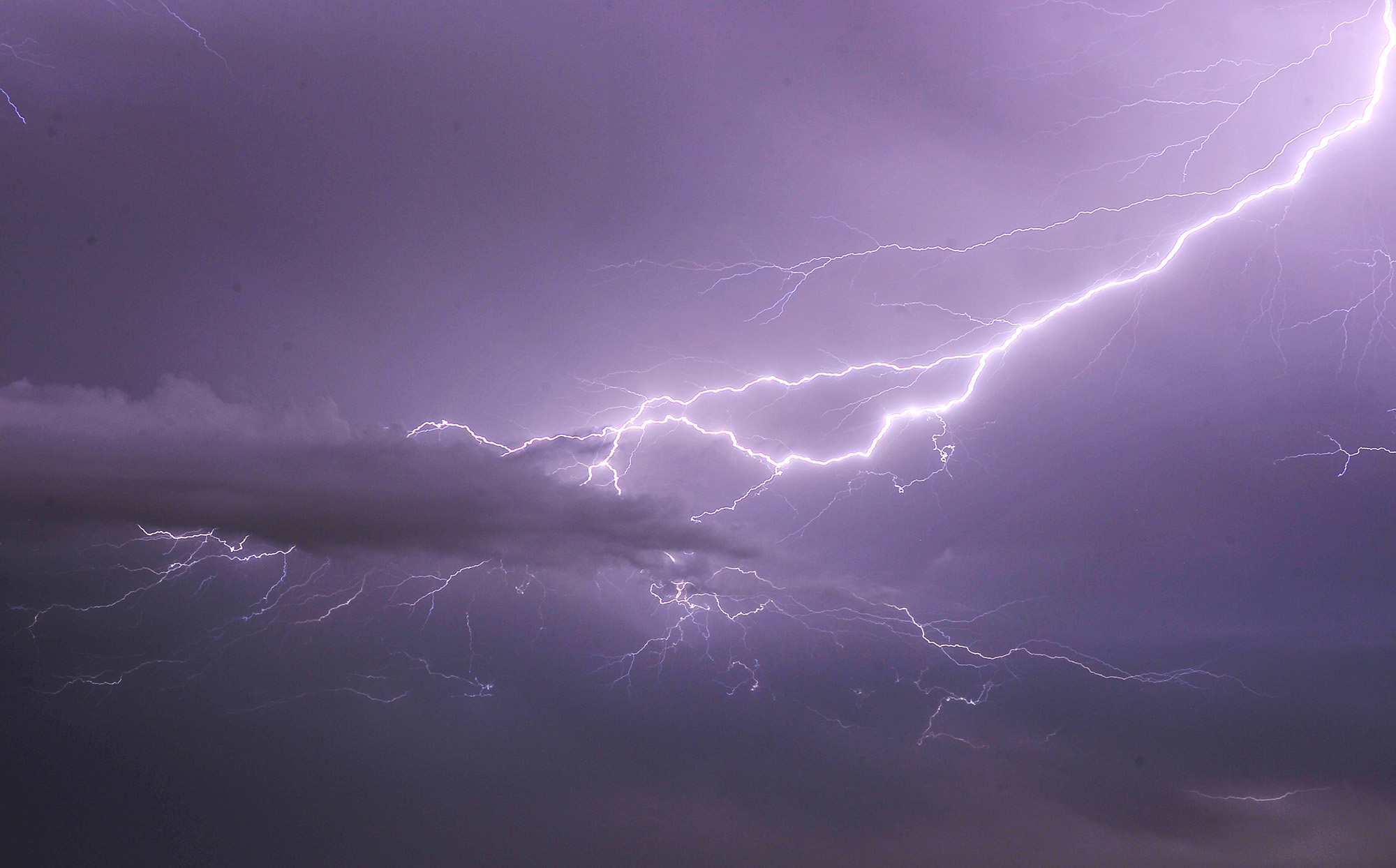 Storms snap trees, batter houses in Arkansas; damage surveys likely to take several days, forecasters say - Vimarsana News