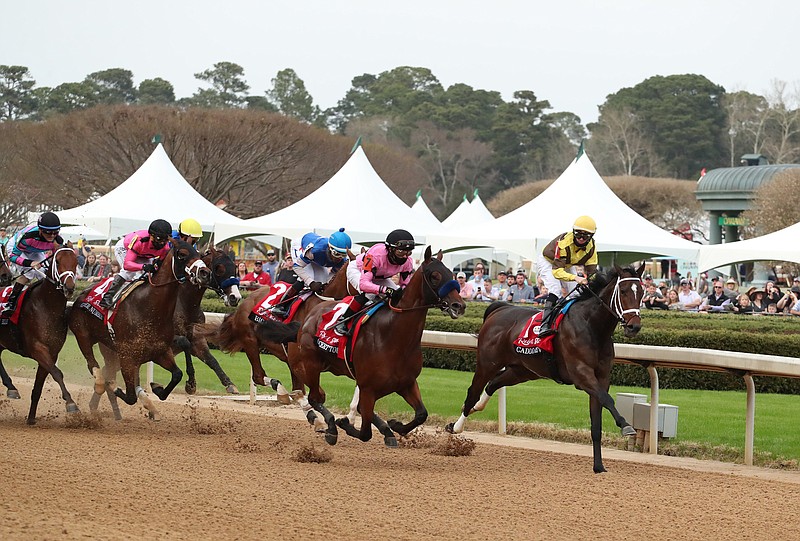 Fans watch from the infield in March as horses pass the grandstand for the first time during the running of the Rebel Stakes. - Photo by Richard Rasmussen of The Sentinel-Record