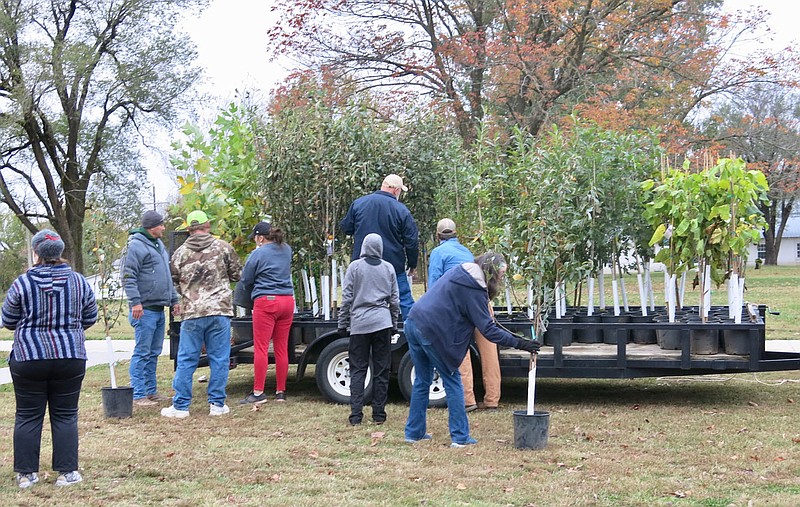 Westside Eagle Observer/SUSAN HOLLAND
Gravette area residents line up to select trees during a tree giveaway sponsored by the City of Gravette in October, 2020. City officials have announced that another tree giveaway will be held Saturday, April 24, from 8 a.m. to 10 a.m. at the top of Old Town Park. More than 150 trees in a variety of species will be available thanks to a grant from the Walton Family Foundation.
