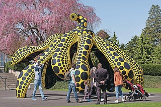 Artist gives nature a 'cosmic' twist in big New Ork garden show