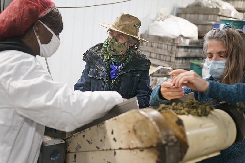 Gail Hepworth, right, and Amy Hepworth, center, sisters and co-owners of Hepworth Farms, sort and trim hemp with Suekae Johnson, left, at Hepworth Farms in Milton, N.Y., Monday, April 12, 2021. Farmers dealing with depressed prices for plants that produce CBD extract are eager to take part in a statewide marijuana market expected to generate billions of dollars a year once retail sales start. They already know how to grow and process cannabis plants, since hemp is essentially the same plant with lower levels of THC, marijuana's active ingredient. Now they're waiting on rules that will allow them to switch seeds. (AP Photo/Seth Wenig)