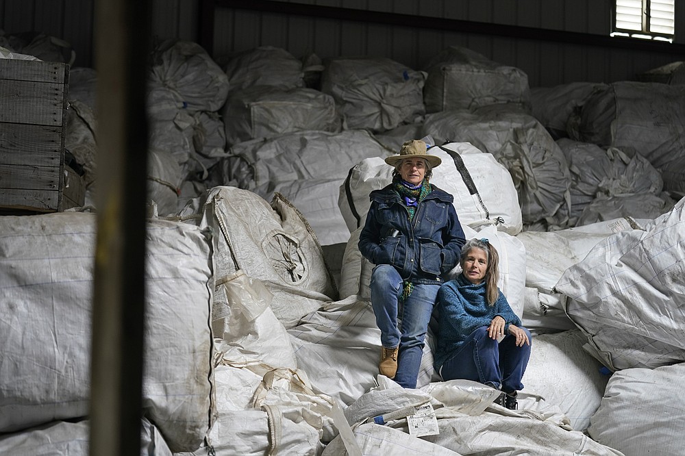 Gail Hepworth, right, and Amy Hepworth, sisters and co-owners of Hepworth Farms, pose for a picture on bags full of hemp plants at Hepworth Farms in Milton, N.Y., Monday, April 12, 2021. Farmers dealing with depressed prices for plants that produce CBD extract are eager to take part in a statewide marijuana market expected to generate billions of dollars a year once retail sales start. They already know how to grow and process cannabis plants, since hemp is essentially the same plant with lower levels of THC, marijuana's active ingredient. Now they're waiting on rules that will allow them to switch seeds. (AP Photo/Seth Wenig)