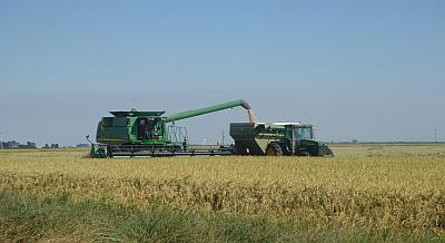 Start-off good for planting of grain