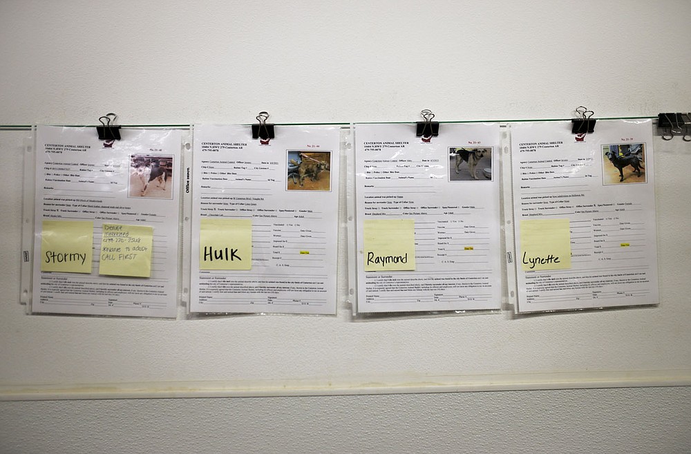 Paperwork for dogs who are up for adoption hang from a wall, Thursday, April 15, 2021 at the Centerton Animal Shelter in Centerton. The city of Bentonville could start construction on a city animal resource center this summer. The city has a contract with Centerton to bring stray dogs to the shelter there. Check out nwaonline.com/210416Daily/ for today's photo gallery.
(NWA Democrat-Gazette/Charlie Kaijo)