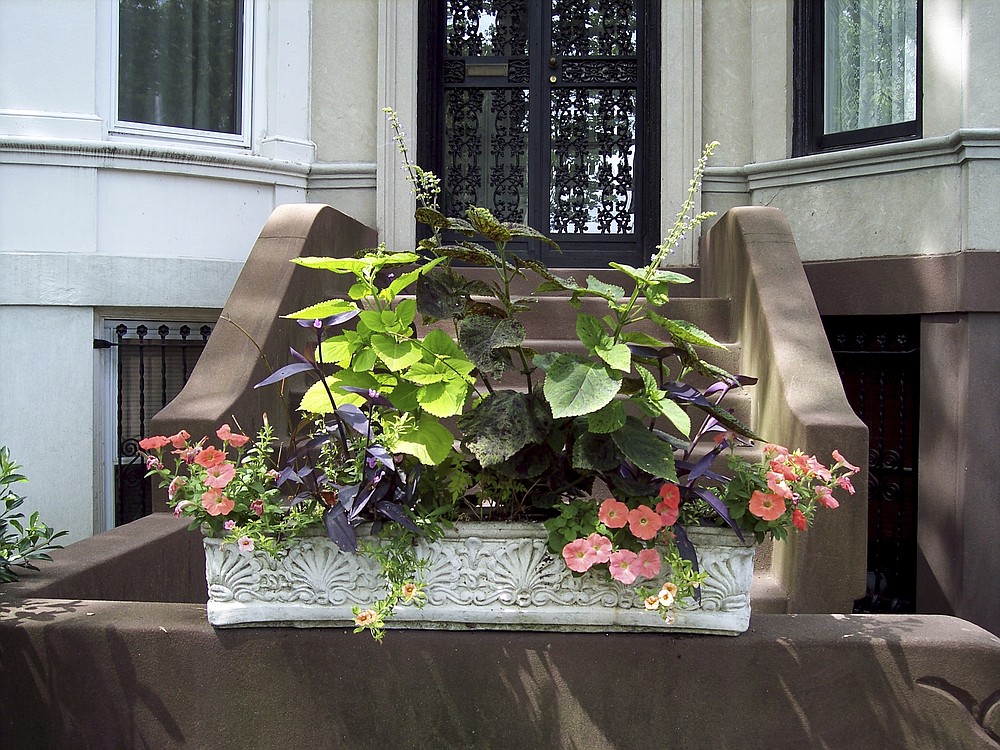 This undated image provided by Brooklyn Botanic Garden shows a window box entry in the Greenest Block in Brooklyn contest. (Brooklyn Botanic Garden via AP)