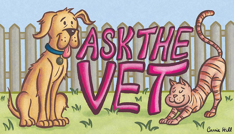 ASK THE VET: Most dogs don't see as well as people do ASK THE VET: Most dogs don't see as well as people do