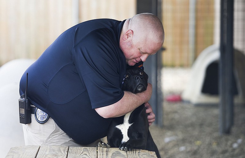 Director of Animal Services Cody Wilson hugs Manchas, a black lab and pitbull mix, who came from Bentonville, Thursday, April 15, 2021 at the Centerton Animal Shelter in Centerton. The city of Bentonville could start construction on a city animal resource center this summer. The city has a contract with Centerton to bring stray dogs to the shelter there. Check out nwaonline.com/210416Daily/ for today's photo gallery. 
(NWA Democrat-Gazette/Charlie Kaijo)