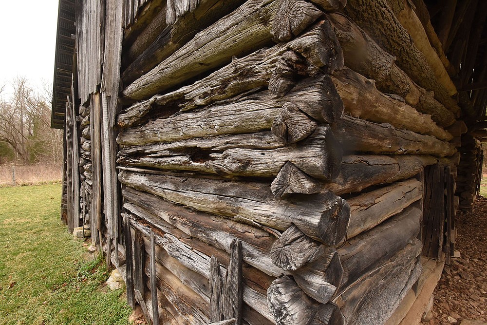 Logs notched by hand fit together March 12 2021 on a barn at the farmstead.
(NWA Democrat-Gazette/Flip Putthoff)