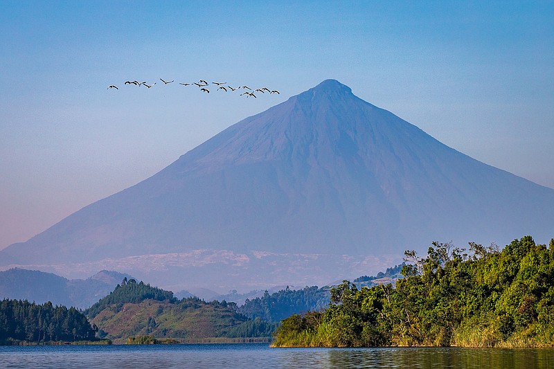 Mount Muhabura is one of the eight Virunga volcanoes, viewed from Lake Mutanda in Uganda. (Courtesy of Marcus Westberg)