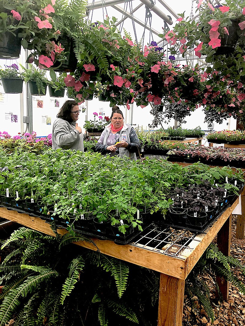 Westside Eagle Observer/LONNIE MOLL
Agriculture and FFA instructor Wendy Jackson talks with Linda Johnson at a plant sale held in the greenhouse at Gentry High School on April 20. Students, under Jackson's guidance, started a variety of plants in the greenhouse and sold them in a spring plant sale last week. The greenhouse uses an aquaponics system for growing plants. Money raised will help support FFA and agriculture activities.