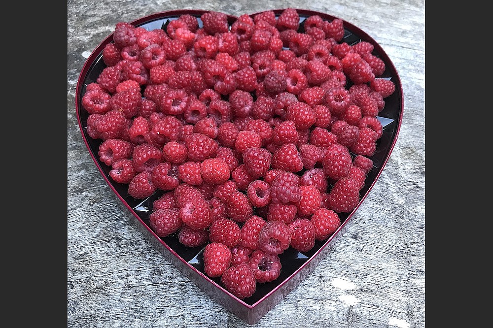 A basket of fresh-picked berries in a repurposed chocolate box recently given away on Buy Nothing Facebook group. (Courtesy of Liesl Clark)