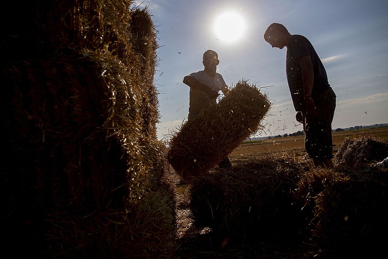 A worker stacks a straw bale at a recently harvested wheat field in the village of Kirkland in Dekalb, Illi., on July 9, 2018. MUST CREDIT: Bloomberg photo by Daniel Acker