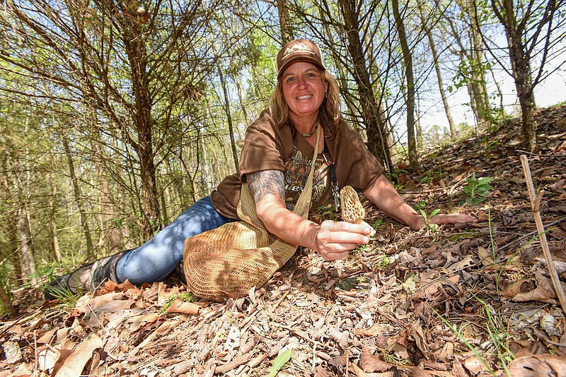 Melissa Nichols picks another morel mushroom for her bag during a safari for the springtime delicacy. Nichols combs wooded hollows of McDonald County, Mo. and has a talent for spotting morel mushrooms on the forest floor. 
 (NWA Democrat-Gazette/Flip Putthoff