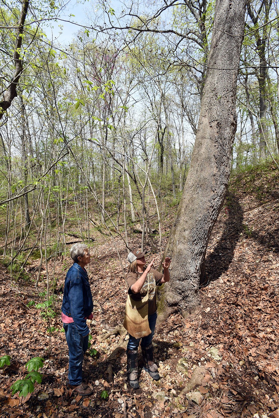 Lois Payne (left) gets a lesson in mushroom hunting on April 14 2021 from mushroom sleuth Melissa Nichols.
(NWA Democrat-Gazette/Flip Putthoff)