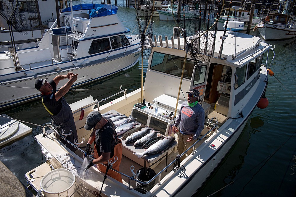 Fishermen stand beside recently caught salmon at Fisherman's Wharf in San Francisco on July 8, 2020. MUST CREDIT: Bloomberg photo by David Paul Morris.