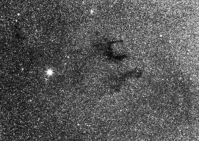 David Cater/Star-Gazing
Pictured is "Barnard's E-shaped Nebula."