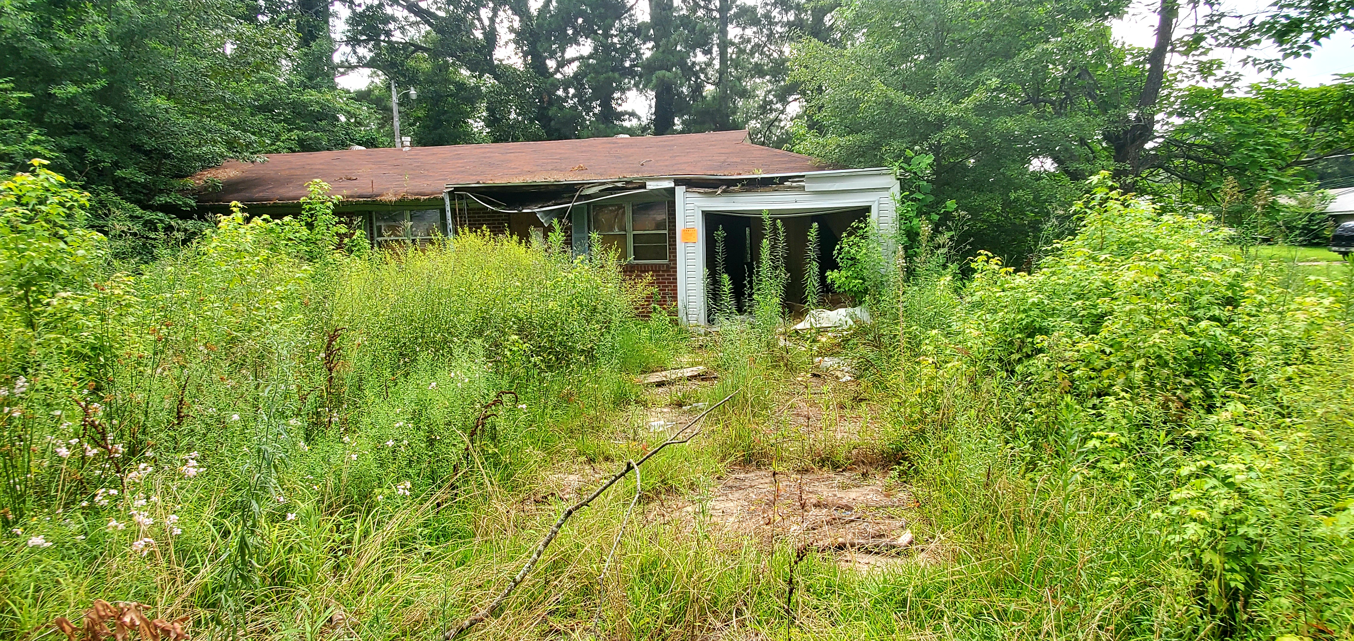 Worker to help in blight removal