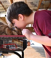 photo thumbnail