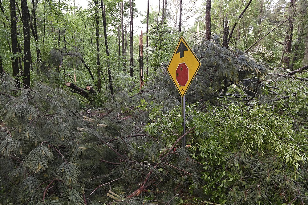 Downed trees cover Oakview Drive in Tupelo, Miss., Monday, May 3, 2021. A line of severe storms rolled through the state Sunday afternoon and into the nighttime hours. Late Sunday, a “tornado emergency” was declared for Tupelo and surrounding areas. (AP Photo/Thomas Graning)