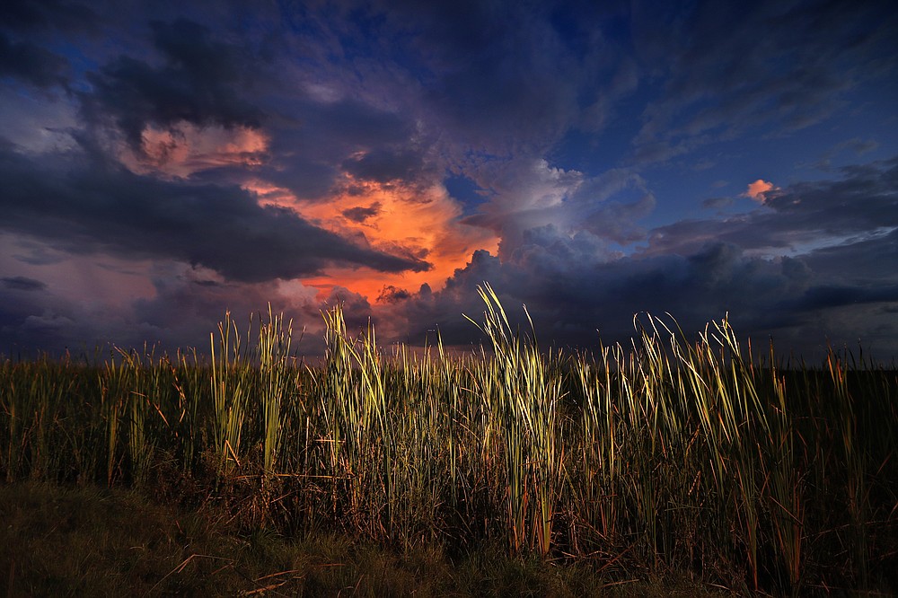 FILE - In this Oct. 20, 2019 photo, a clearing late-day storm adds drama in the sky over a sawgrass prairie in Everglades National Park in Florida. The Biden administration is outlining a plan to sharply increase conservation of public lands and waters over the next decade. A report to be issued Thursday recommends a series of steps to achieve a nationwide goal to conserve 30% of U.S. lands and waters by 2030. (AP Photo/Robert F. Bukaty, File)