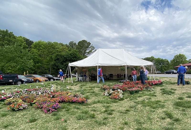 Terri O'Byrne/The Weekly Vista Friday's sky was fluffy cloud covered over the Kiwanis annual plant sale.