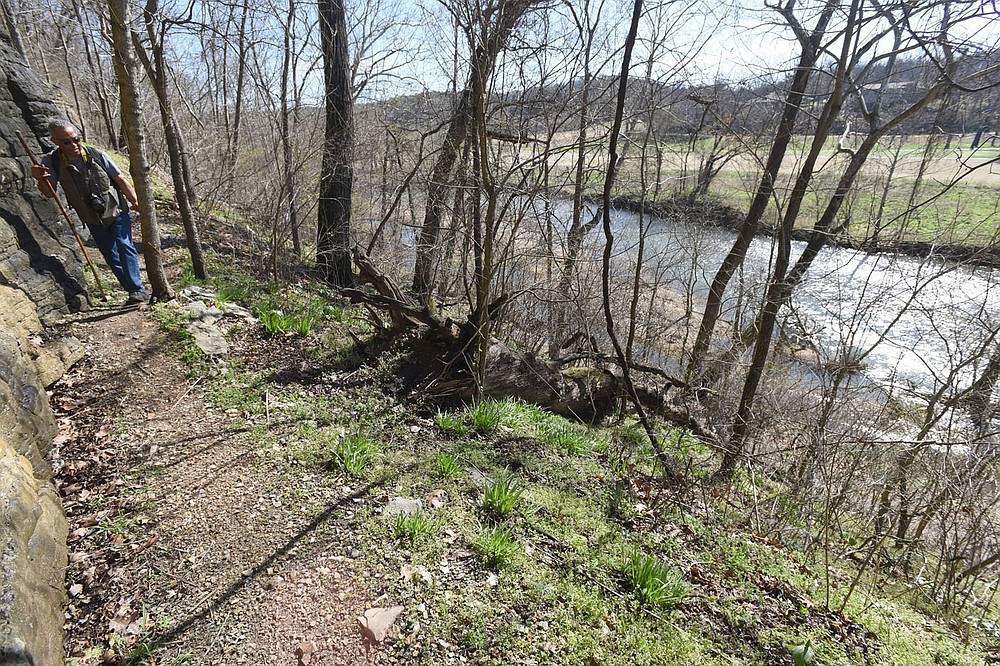 Parts of the Little Sugar trail network take hikers to lofty views of Little Sugar Creek. Gene Williams takes in the view from the Danger Will Robinson trail, which is part of the trail system.
(NWA Democrat-Gazette/Flip Putthoff)