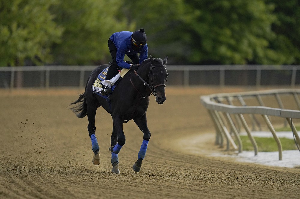 Exercise rider Humberto Gomez takes Kentucky Derby winner and Preakness entrant Medina Spirit over the track during a training session ahead of the Preakness Stakes horse race at Pimlico Race Course, Wednesday, May 12, 2021, in Baltimore. (AP Photo/Julio Cortez)