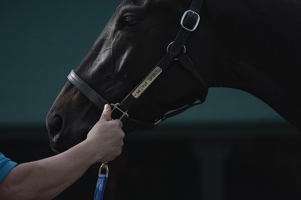 Kentucky Derby winner and Preakness entrant Medina Spirit is bathed after a workout ahead of the Preakness Stakes ahead of the Preakness Stakes horse race at Pimlico Race Course, Wednesday, May 12, 2021, in Baltimore. (AP Photo/Julio Cortez)
