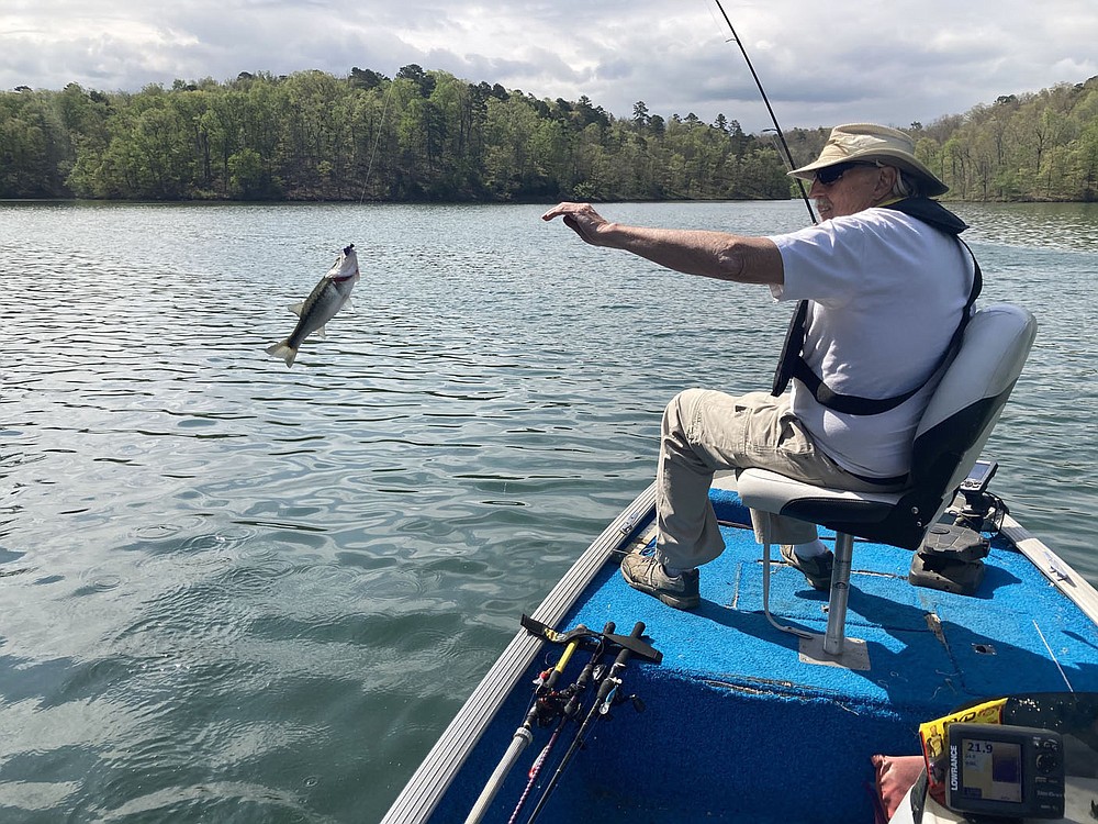 Culmer welcomes a spotted bass aboard.
(NWA Democrat-Gazette/Flip Putthoff)