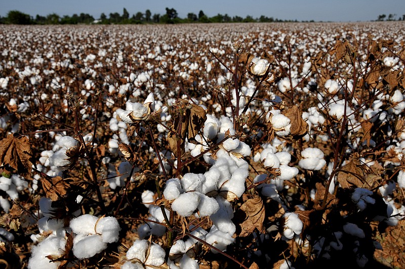 Cotton gin tally up by 1 in state The Arkansas DemocratGazette