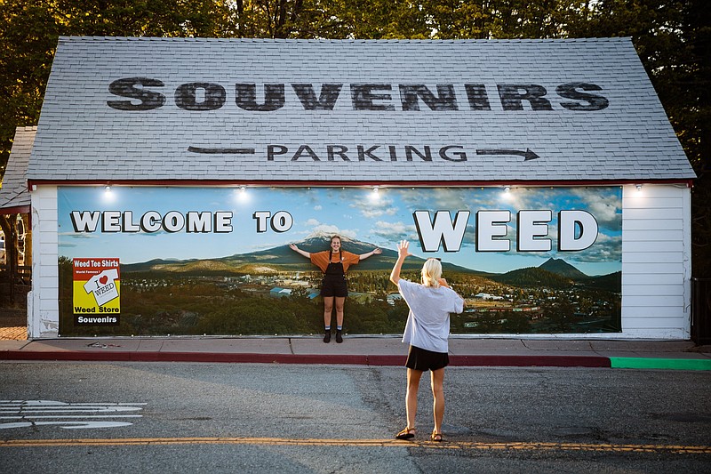 Traveler Madeline Pruneau of Denver has her photo taken in front of a sign welcoming visitors to Weed, Calif. For decades, the residents of Weed, a California lumber town an hour from the Oregon state line, have felt like the butt of jokes, exasperated from the repetition of the Daily Explanation: No, the town is not named for marijuana but a local 19th-century timber baron, Abner Weed. (The New York Times/Max Whittaker)