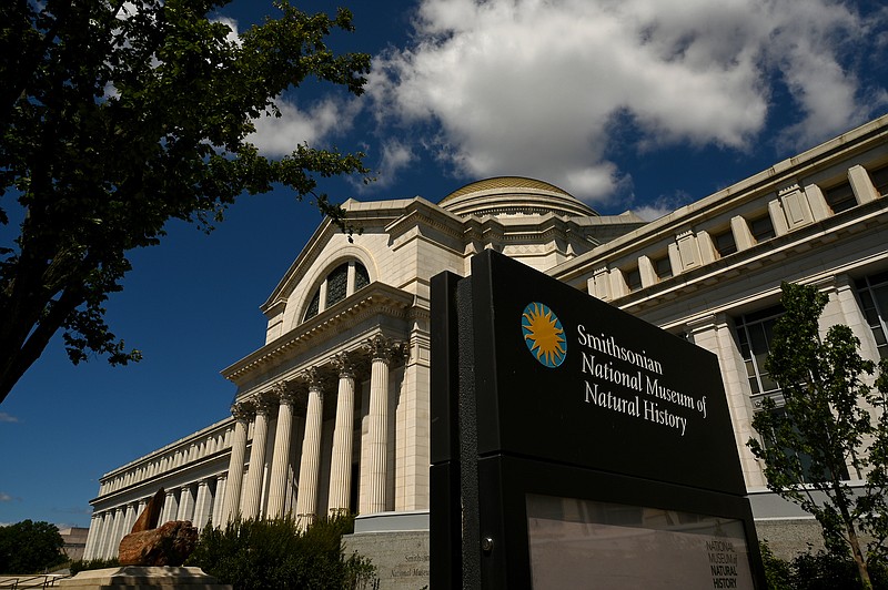 The Smithsonian National Museum of Natural History will reopen June 18. (The Washington Post/Katherine Frey)