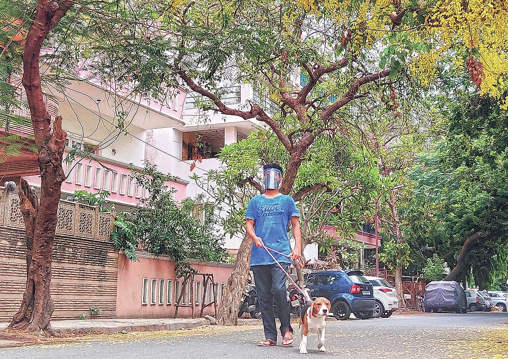 Abhimanyu Chakravorty, son of 73-year-old Prabir Chakravorty, a COVID-19 survivor, takes his dog for a stroll outside his home in New Delhi, India on May 17, 2021. Prabir Chakravorty, the family patriarch and widower, a construction executive was treated at home for the coronavirus. (AP Photo/Aniruddha Ghosal)