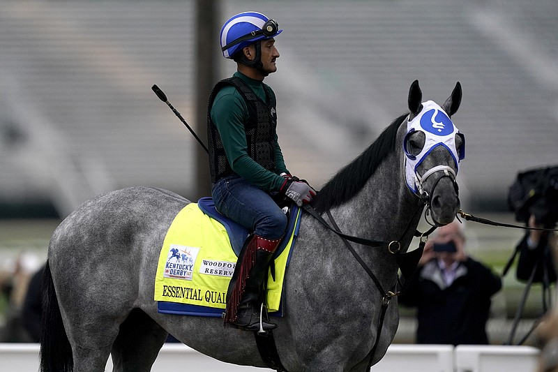 Kentucky Derby entrant Essential Quality waits to work out on April 29 at Churchill Downs in Louisville, Ky. Essential Quality was set as a 2-1 favorite for the Belmont Stakes. - Photo by Charlie Riedel of The Associated Press