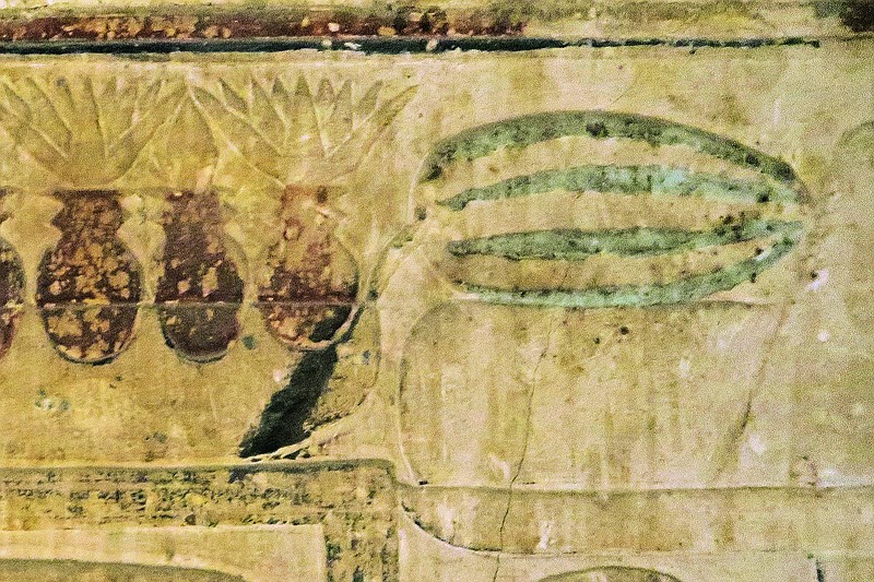 A 4,450-year-old Egyptian papyrus depicts a watermelon-like object, suggesting that the sweet fruit was consumed in ancient Egypt's Nile Valley. (Lise Mannich via The New York Times)