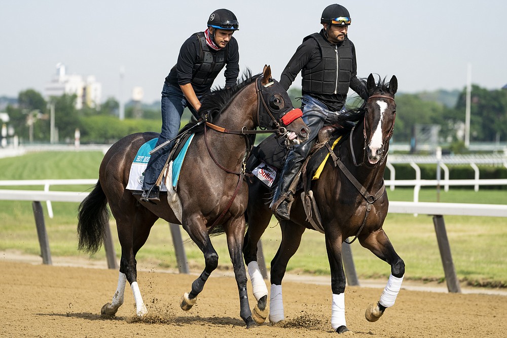Belmont stakes entrant Hot Rod Charlie, left, and his companion horse Lava Man, right, are led onto the main track for a training run ahead of the 153rd running of the Belmont Stakes horse race, Wednesday, June 2, 2021, at Belmont Park in Elmont, N.Y. (AP Photo/John Minchillo)