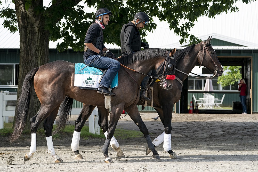 Belmont stakes entrant Hot Rod Charlie, left, and his companion horse Lava Man, right, are led to the main track for a training run ahead of the 153rd running of the Belmont Stakes horse race, Wednesday, June 2, 2021, at Belmont Park in Elmont, N.Y. (AP Photo/John Minchillo)