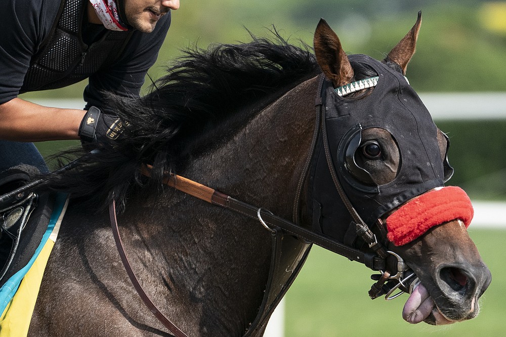 Belmont Stakes entrant Hot Rod Charlie takes a training run on the main track ahead of the 153rd running of the Belmont Stakes horse race, Wednesday, June 2, 2021, at Belmont Park in Elmont, N.Y. (AP Photo/John Minchillo)