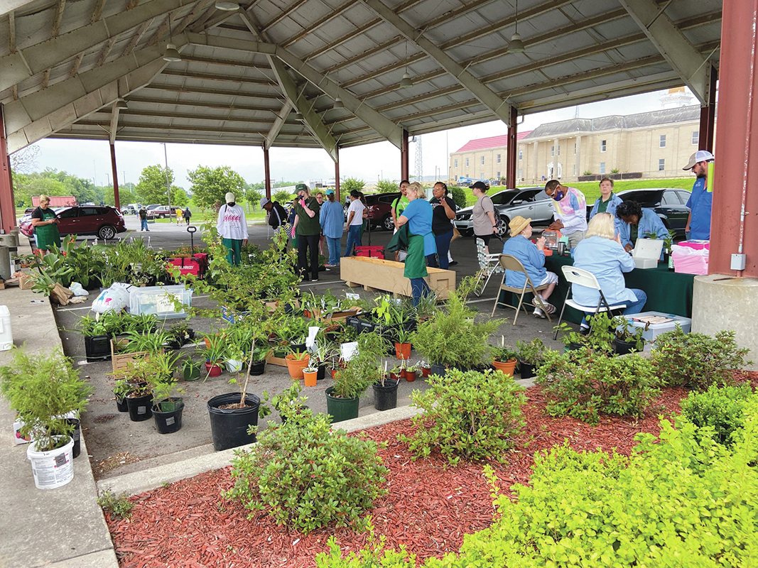 Power, Hart help ready plant show