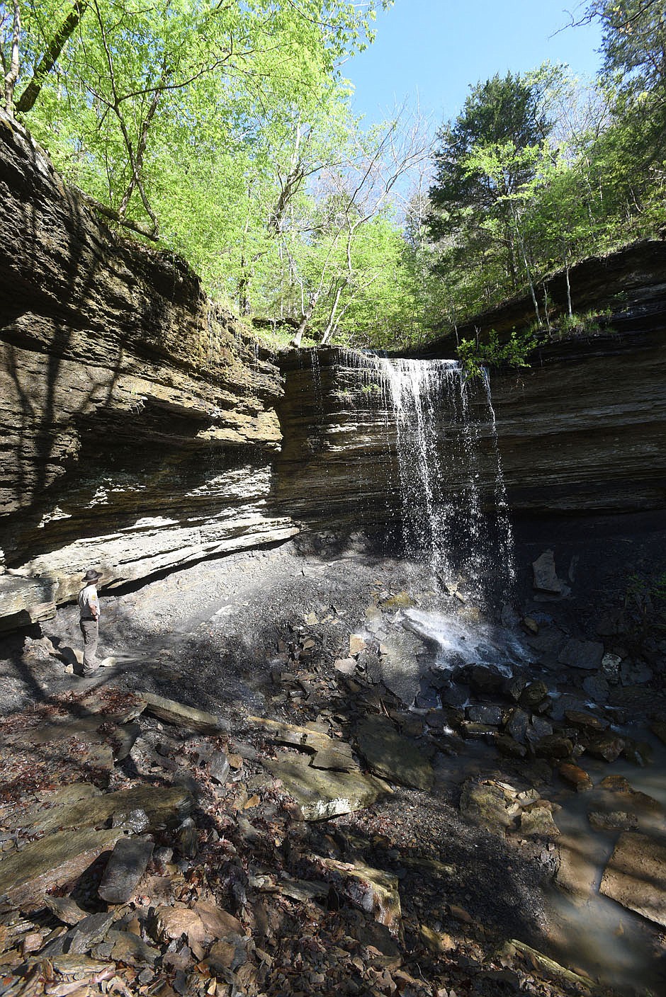 Tim Scott, assistant superintendent at Devil's Den State Park, admires in late April 2021 Yellow Rock Falls along Devil's Racetrack Trail, part of the park's new network of Monument Trails. The trail leads behind the waterfall, seen here two days after heavy rain.
(NWA Democrat-Gazette/Flip Putthoff)