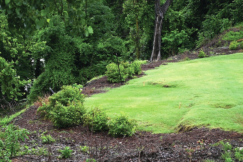 Grass slumps in a possible landslide outside the Department of Arkansas Heritage on Monday, June 7.

(Arkansas Democrat-Gazette/Stephen Swofford)