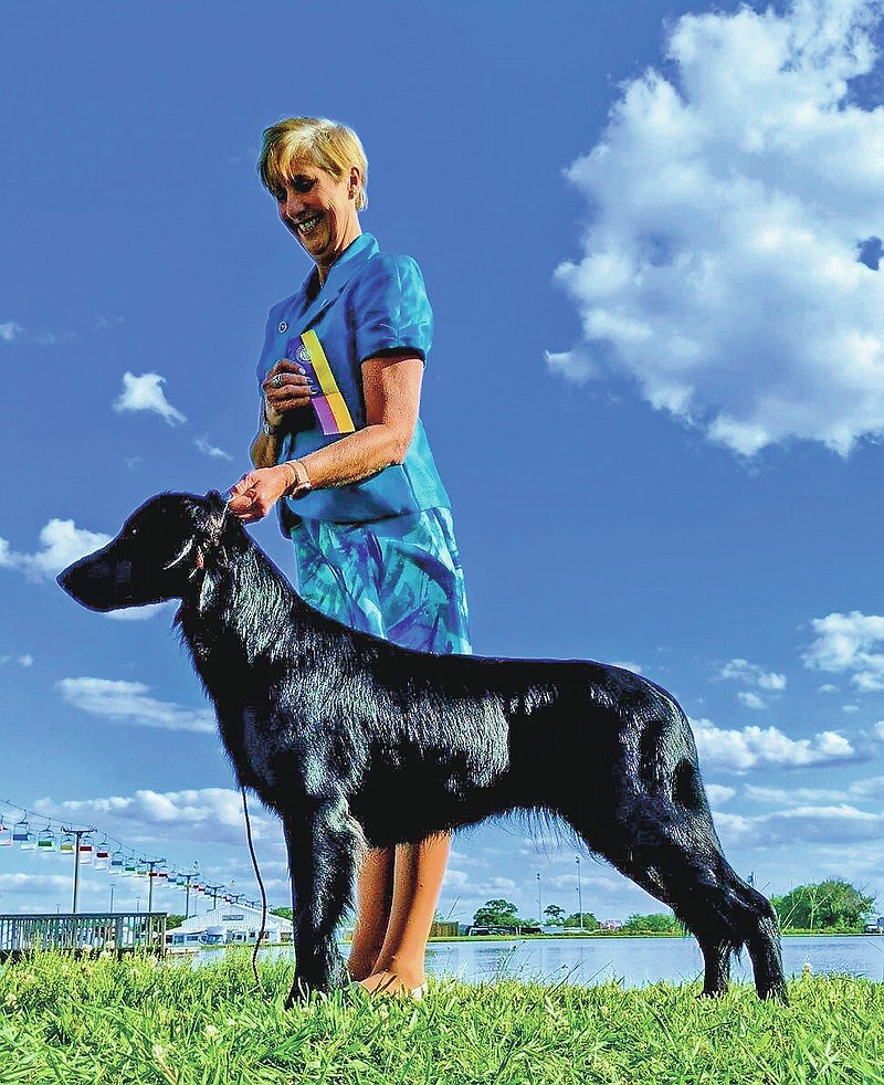 In this image provided by Renee Rosamilla, Tildy, a flat-coated retriever, poses with Rosamilla in Perry, Ga. Tildy is set to compete at the upcoming Westminster Kennel Club dog show, which has undergone many changes this year because of the coronavirus pandemic.
 (Courtesy Renee Rosamilia via AP)