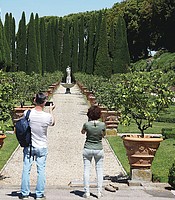 photo thumbnail