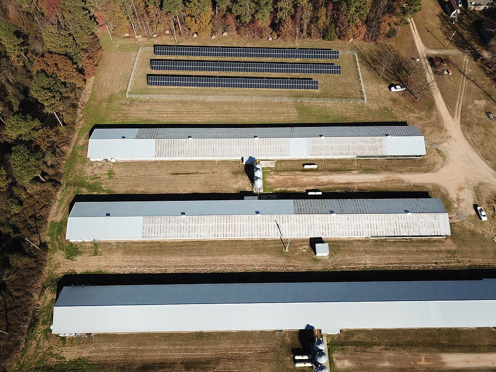 Drone image shows solar panel placement at the Boyd farm. (Special to The Commercial/Stephen Boyd, University of Arkansas System Division of Agriculture)