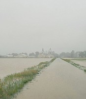 photo thumbnail
