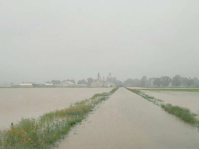 The roads and fields surrounding the Rice Research and Extension Center at Stuttgart were covered in water Wednesday morning. Days of intense rainfall flooded many areas of Arkansas. 
(Special to The Commercial/Dustin North, University of Arkansas System Division of Agriculture)
