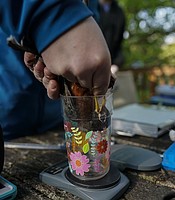 photo thumbnail